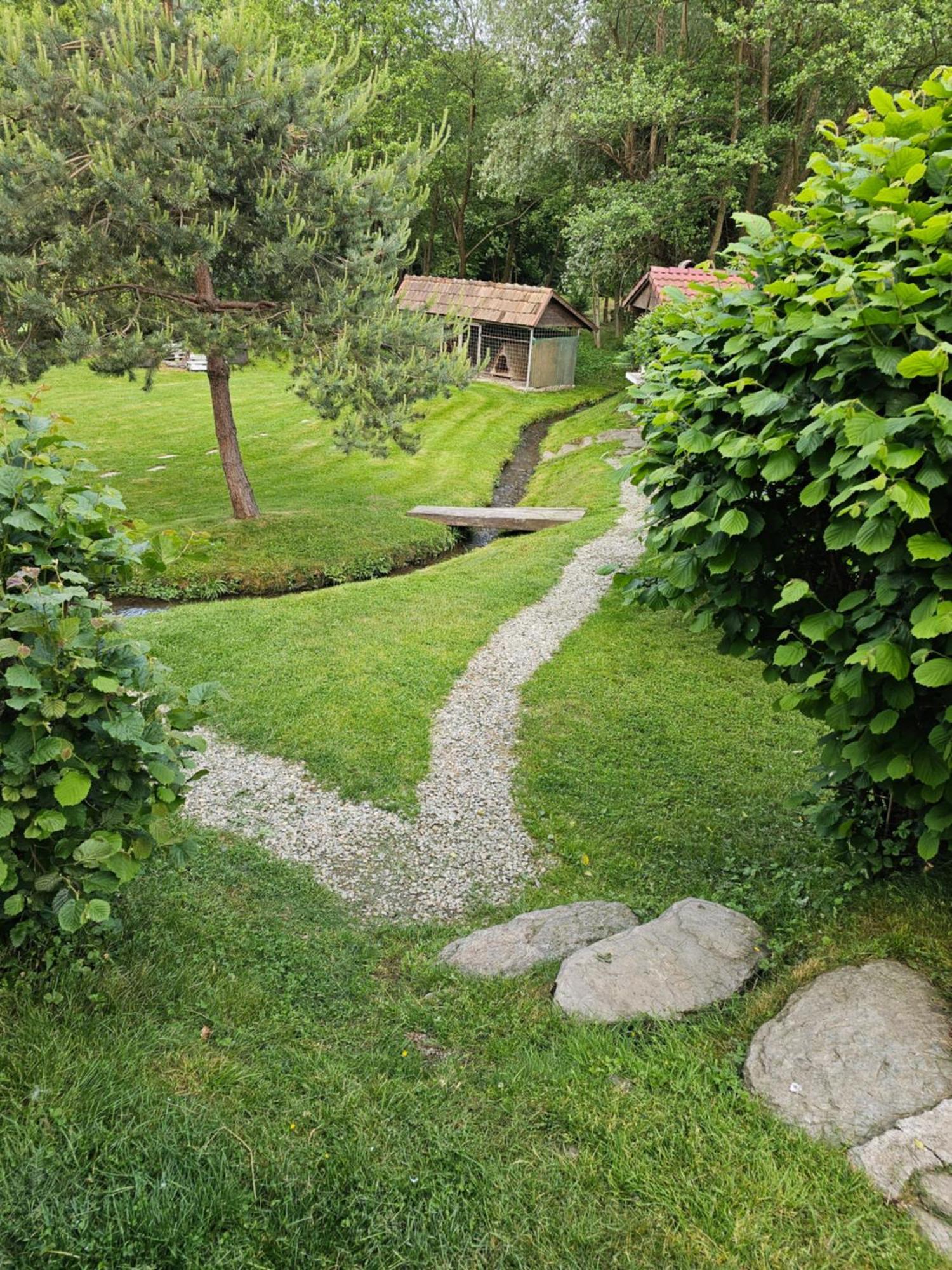 Casa De Vacanta Marin Arpasu de Sus Ngoại thất bức ảnh
