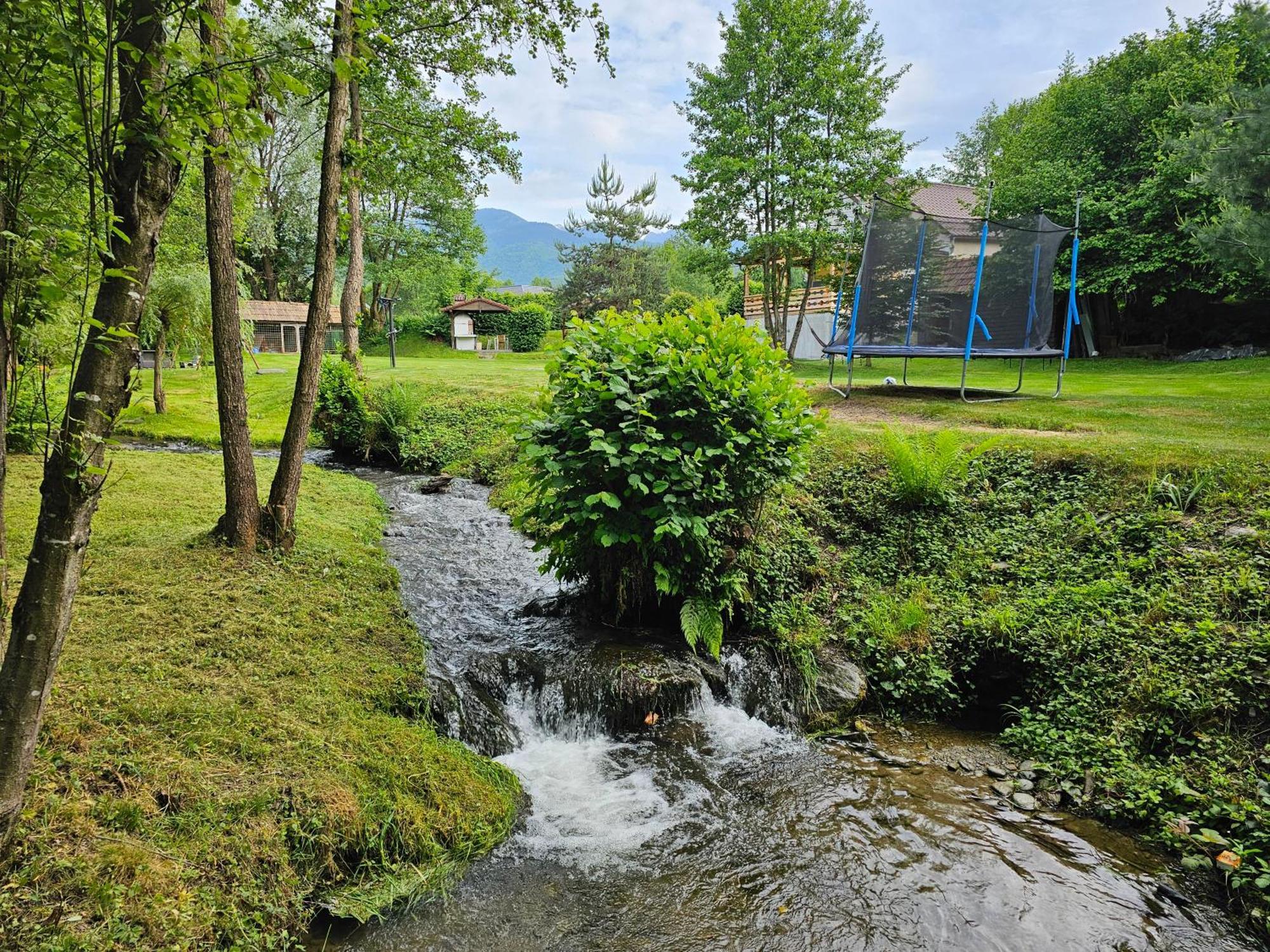 Casa De Vacanta Marin Arpasu de Sus Ngoại thất bức ảnh